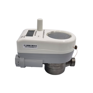 物聯網直飲水表